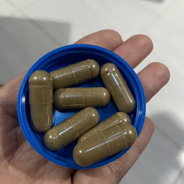 رزوراترول 700میلی گرم ناتریکاست – 120 کپسول